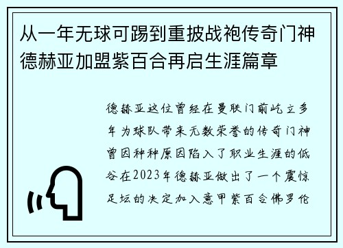 从一年无球可踢到重披战袍传奇门神德赫亚加盟紫百合再启生涯篇章 从一年无球可踢到重披战袍传奇门神德赫亚加盟紫百合再启生涯篇章